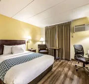 Econo Lodge Mayo Clinic Area hotel detail image 7