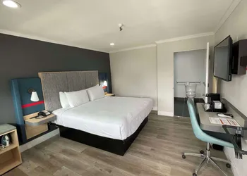 The Midtowner Hotel, SureStay Collection by Best Western hotel thumbnail 5