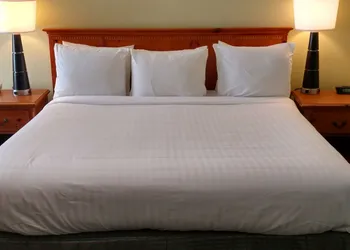 The University Inn at Emory hotel thumbnail 6