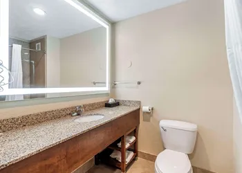 Comfort Suites Merrillville near US 30 hotel thumbnail 6