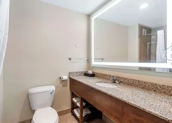 Comfort Suites Merrillville near US 30 hotel thumbnail 7