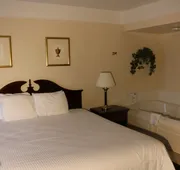 Imperial Swan Hotel and Suites Lakeland hotel detail image 5
