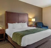 Comfort Inn Charlotte hotel detail image 4