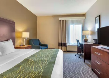 Comfort Inn Charlotte hotel thumbnail 5