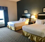 Holiday Inn Express & Suites Morton - Peoria Area by IHG hotel detail image 3