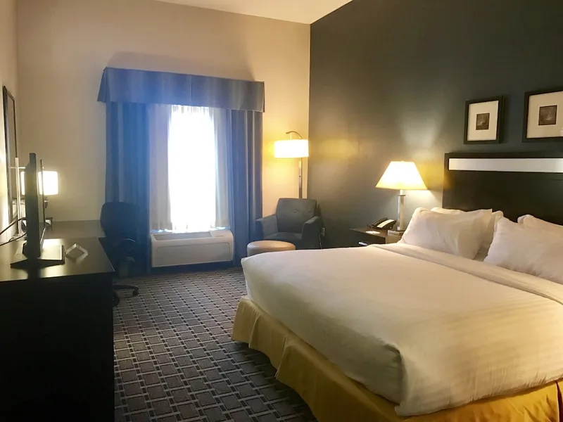 Holiday Inn Express & Suites Morton - Peoria Area by IHG hotel detail image 6