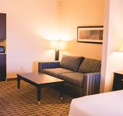 Holiday Inn Express & Suites Morton - Peoria Area by IHG hotel detail image 7
