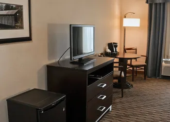 Holiday Inn Express & Suites Morton - Peoria Area by IHG hotel thumbnail 8