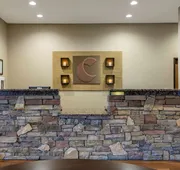 Comfort Inn & Suites Blue Ridge hotel detail image 3