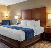 Comfort Inn & Suites Blue Ridge hotel detail image 4