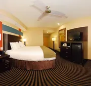 Holiday Inn Express & Suites Laplace by IHG hotel detail image 4