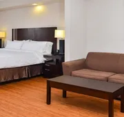 Holiday Inn Express & Suites Laplace by IHG hotel detail image 5