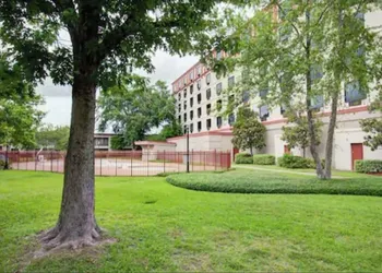 Signature Hotel hotel thumbnail 7
