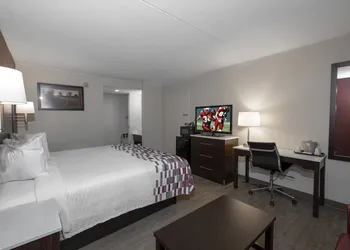 Red Roof Inn Leesburg, VA hotel thumbnail 7