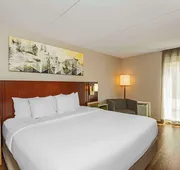 Comfort Inn Cambridge - Highway 401 hotel detail image 7