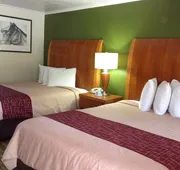 Pilgrim Inn & Cottages hotel detail image 5