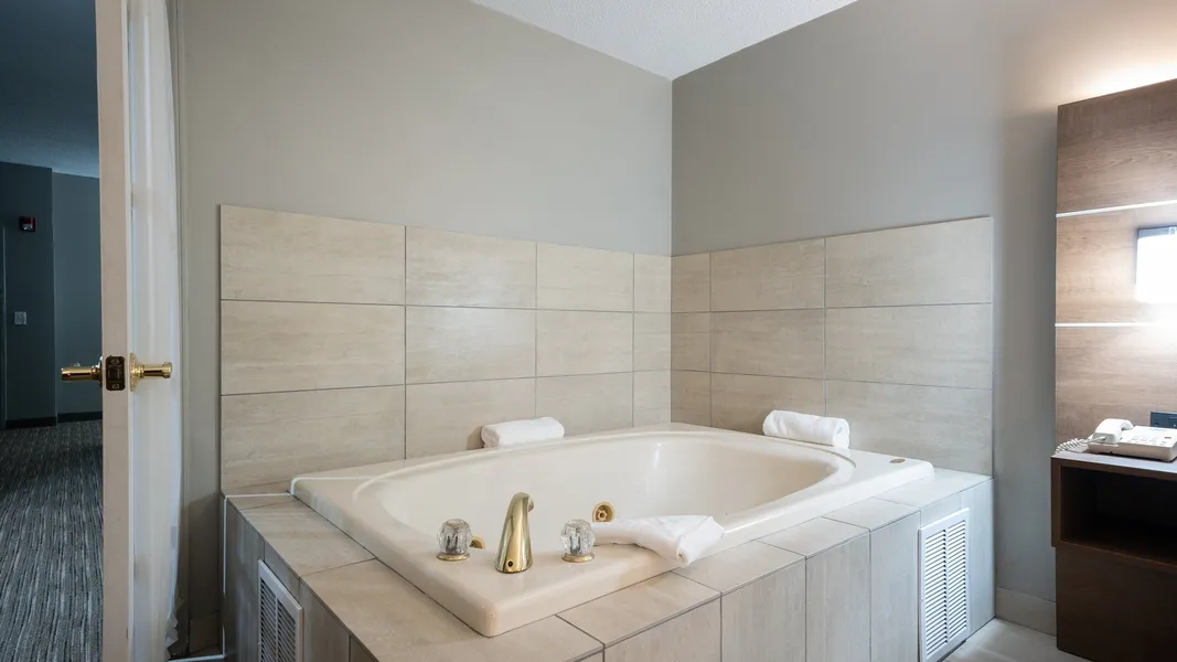 Holiday Inn Express Hotel & Suites Bad Axe by IHG hotel detail image 6