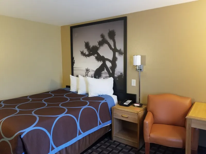Super 8 by Wyndham Carson City/Lake Tahoe hotel detail image 6