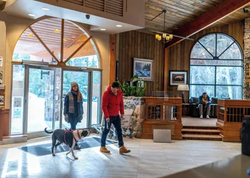 Lake Louise Inn hotel thumbnail 5