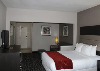 Comfort Suites Lewisville - Dallas hotel thumbnail 8