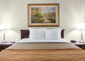 Comfort Inn Plainwell hotel thumbnail 3
