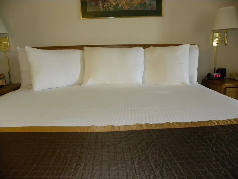 New Victorian Suites hotel detail image 6