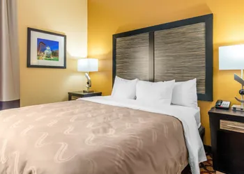 Quality Inn & Suites Montgomery East Carmichael Rd hotel thumbnail 6