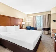 Comfort Inn Modesto hotel detail image 3