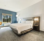 Holiday Inn Express & Suites Buford NE - Lake Lanier by IHG hotel detail image 5