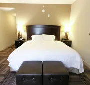 Hampton Inn & Suites by Hilton Flowery Branch Lake Lanier hotel detail image 4
