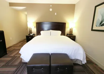 Hampton Inn & Suites by Hilton Flowery Branch Lake Lanier hotel thumbnail 4