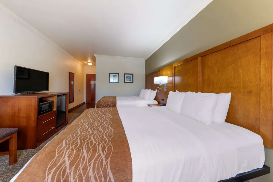 Comfort Inn Huntsville Research Park hotel detail image 6