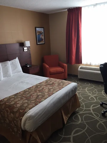 Quality Hotel & Suites hotel detail image 6