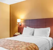 Quality Hotel & Suites hotel detail image 7
