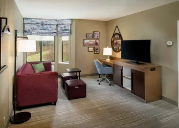 Hampton Inn & Suites Binghamton/Vestal hotel thumbnail 5