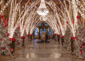 The Roosevelt New Orleans, A Waldorf Astoria Hotel hotel thumbnail 3