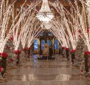 The Roosevelt New Orleans, A Waldorf Astoria Hotel hotel detail image 3
