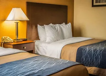 Quality Inn & Suites Port Huron hotel thumbnail 8