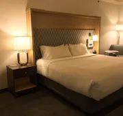 Holiday Inn & Suites McKinney - N Allen by IHG hotel detail image 4