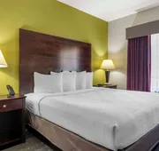 Best Western Plus Mansfield Inn & Suites hotel detail image 3