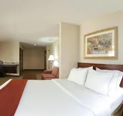 Holiday Inn Express Hotel & Suites Franklin-Oil City by IHG hotel detail image 3
