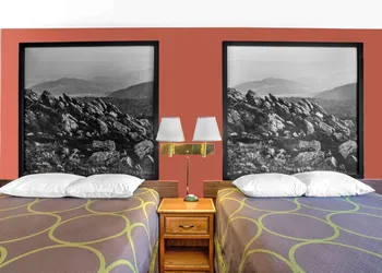 Super 8 by Wyndham Christiansburg/Blacksburg Area hotel thumbnail 8