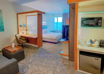 SpringHill Suites by Marriott Macon hotel thumbnail 6