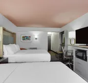 Holiday Inn Roanoke Airport – Conference CTR by IHG hotel detail image 5