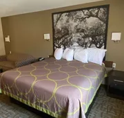 SureStay Hotel by Best Western Alexandria hotel detail image 5