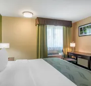 Quality Inn & Suites Albany Corvallis hotel detail image 7