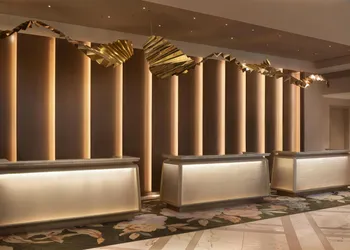 Grand Hyatt Atlanta in Buckhead hotel thumbnail 2
