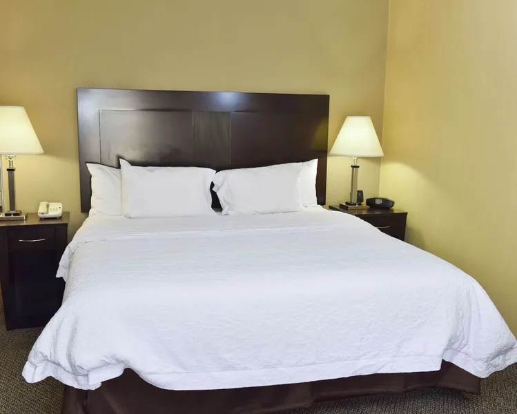 Hampton Inn & Suites Alexandria hotel detail image 6