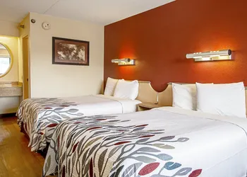 Red Roof Inn Florence - Civic Center hotel thumbnail 4