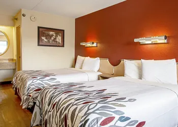 Red Roof Inn Florence - Civic Center hotel thumbnail 4